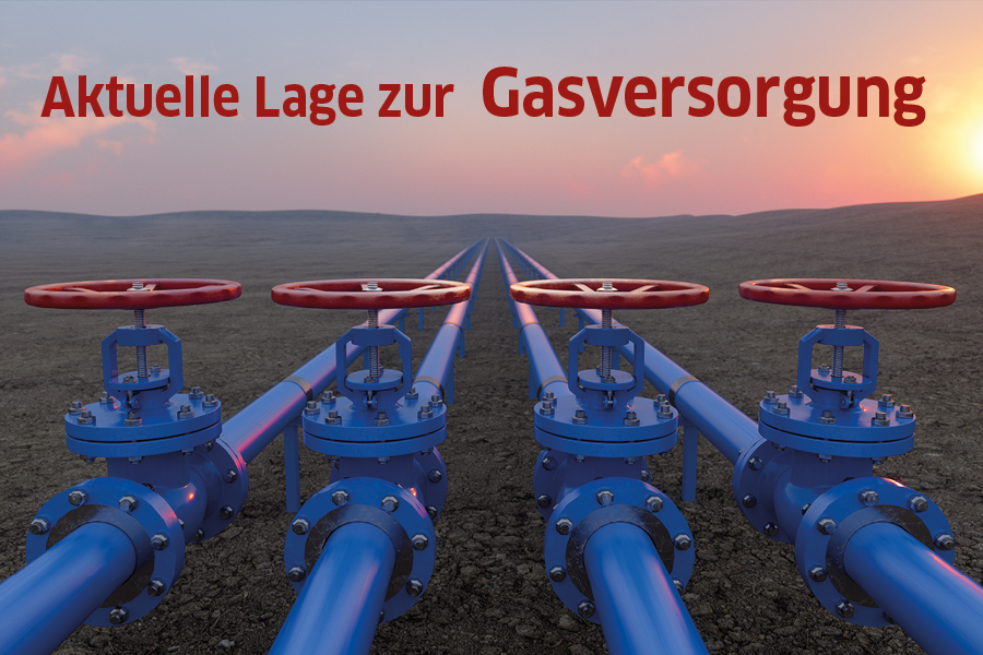 Startseite | SWH. Energie-Initiative Halle (Saale)